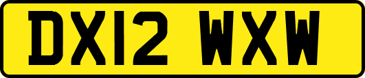 DX12WXW