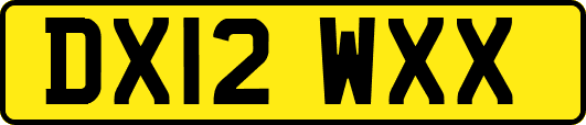 DX12WXX