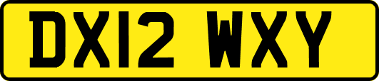 DX12WXY