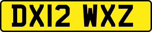 DX12WXZ
