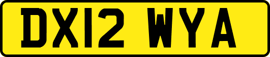 DX12WYA