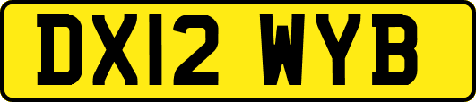 DX12WYB