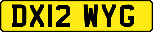 DX12WYG