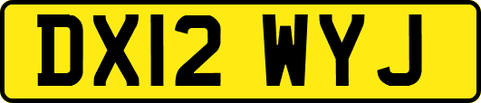 DX12WYJ