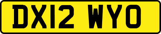 DX12WYO