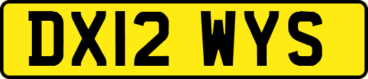 DX12WYS