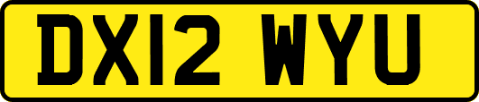 DX12WYU