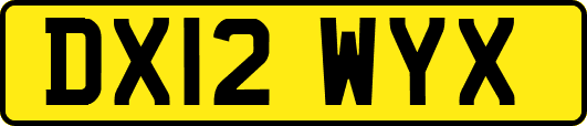 DX12WYX