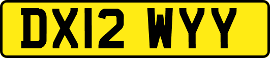 DX12WYY