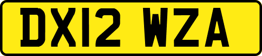 DX12WZA