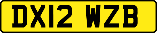DX12WZB