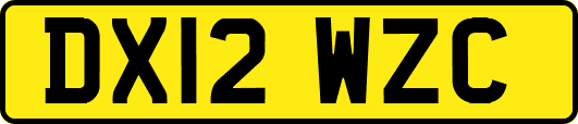 DX12WZC