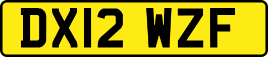 DX12WZF