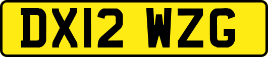 DX12WZG