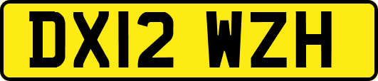 DX12WZH