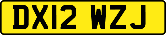 DX12WZJ