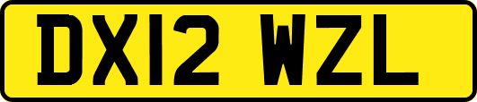 DX12WZL