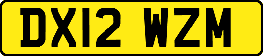 DX12WZM