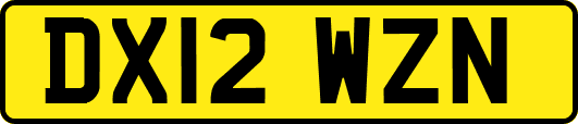 DX12WZN
