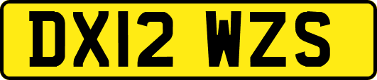 DX12WZS