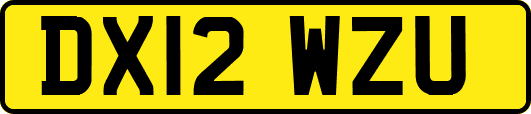 DX12WZU