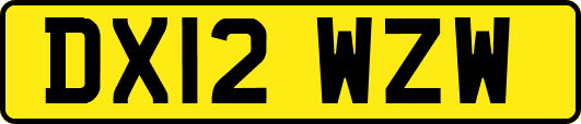 DX12WZW