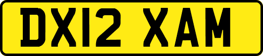 DX12XAM