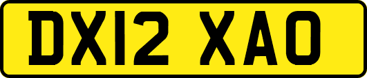 DX12XAO
