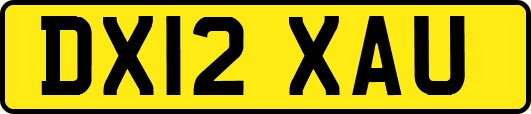DX12XAU