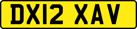 DX12XAV