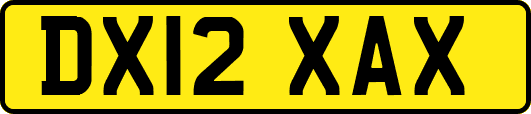 DX12XAX