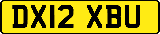 DX12XBU