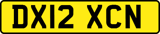 DX12XCN