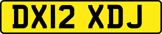 DX12XDJ