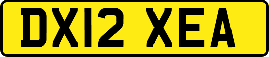DX12XEA