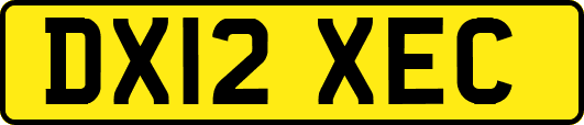 DX12XEC