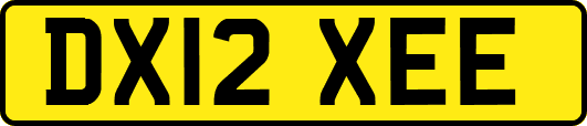 DX12XEE