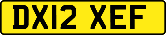 DX12XEF