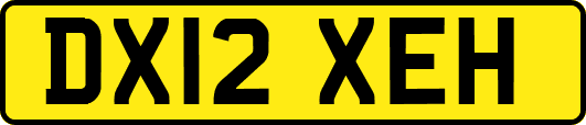 DX12XEH