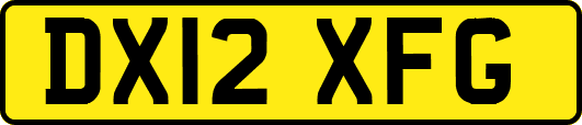 DX12XFG