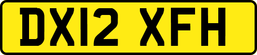 DX12XFH