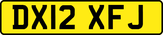 DX12XFJ