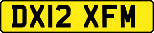 DX12XFM
