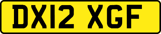 DX12XGF