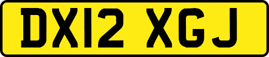 DX12XGJ