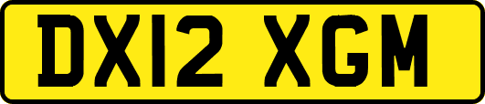 DX12XGM