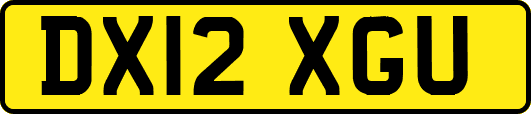 DX12XGU