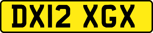 DX12XGX