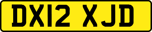 DX12XJD