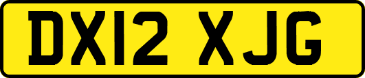 DX12XJG